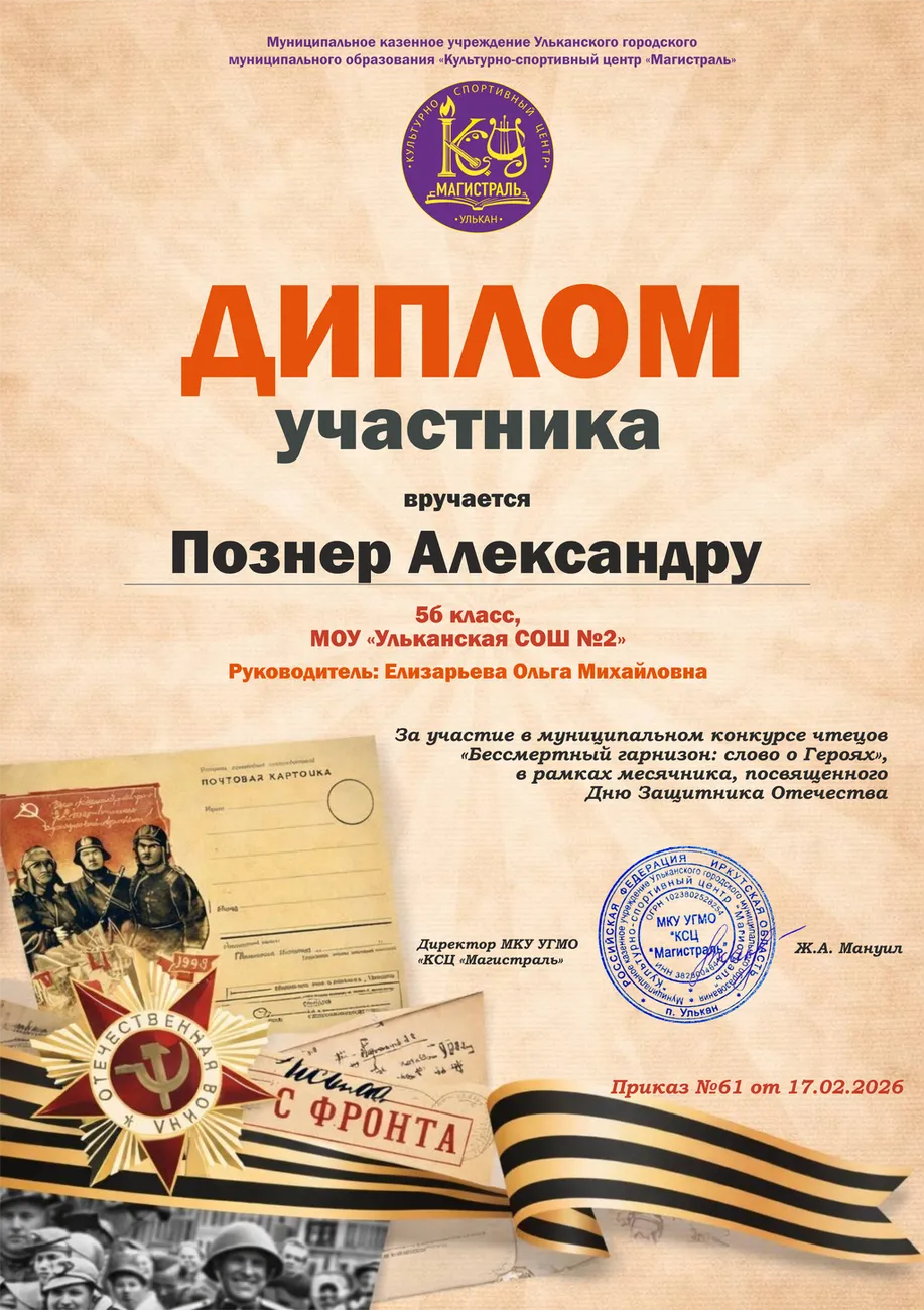 Диплом участника_Познер А.